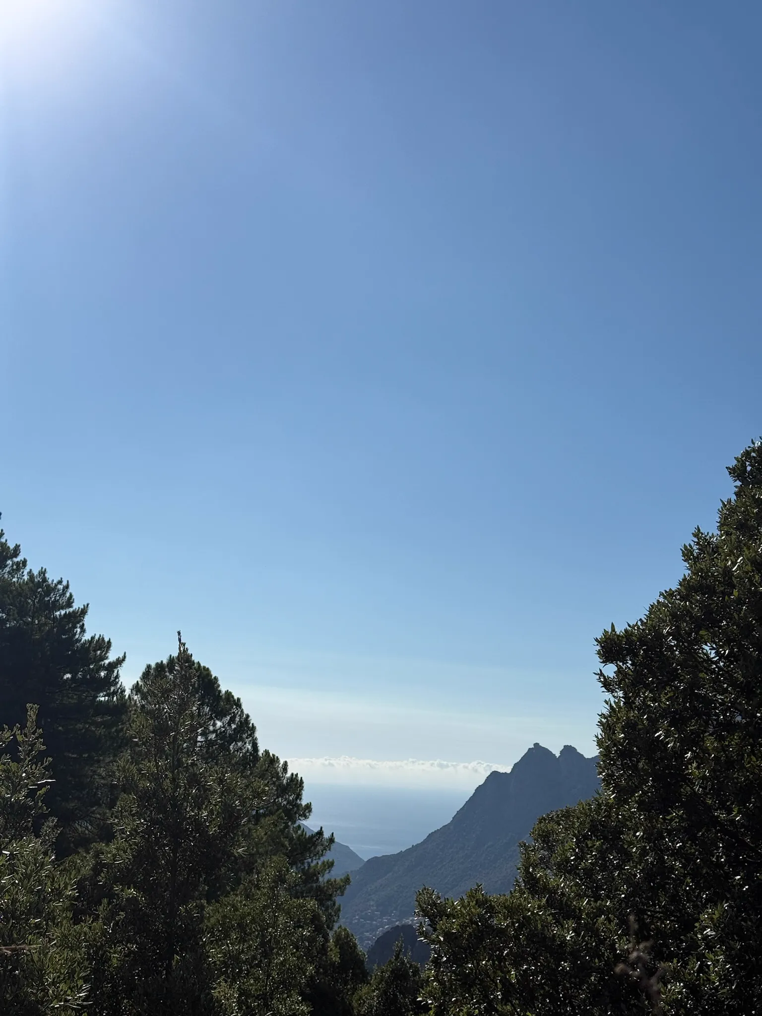 Paysage montagne